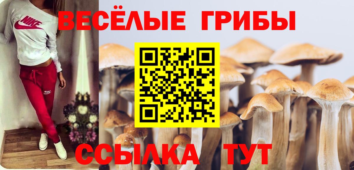 Псилоцибиновые грибы Psilocybine cubensis  Вход с VPN  Сосновый Бор 